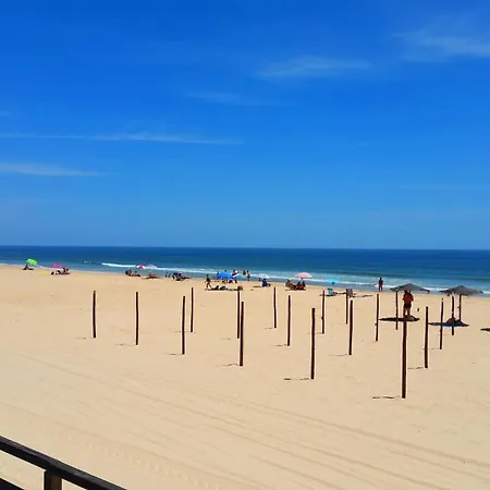 Patricia-dining Patio & Swimming Pool Апартаменты Кабанаш-де-Тавира